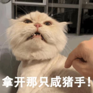 vol 08. 突如其来的咸猪手！那些人生中遇到的被性骚扰事件