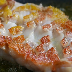 巴哈马深海巨怪石斑鱼你敢吃吗？怎么吃好吃？