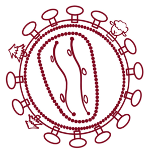 Ep.02 艾滋病能被治愈吗？浅谈HIV与几位“幸运”的病人