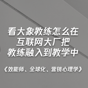 《效能师、全球化、营销心理学》看大象教练怎么在互联网大厂把教练融入到教学中