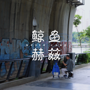 Vol.205 观白鹭洗脚、看竹子开花，府南河边怎么逛得够？