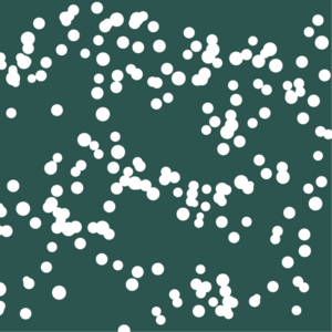 4号星球 钱老板 EP04｜钢琴手的金汤力