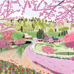 017读书分享：单身无罪，要把人生掌握在自己手中