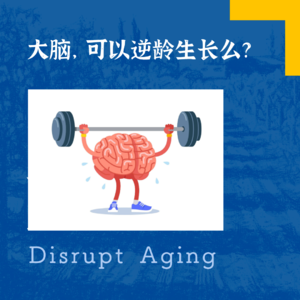 075 大脑可以逆龄生长么？