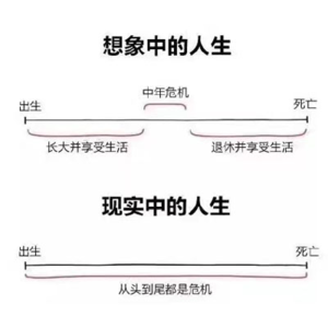 Vol.10 别光想着搞钱,年轻人你的保险配齐了吗?