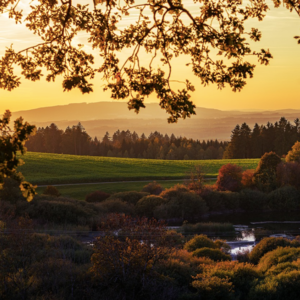 2024年1-4月｜Part 3 乡下的景点比城市里的更受欢迎吗？