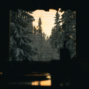 年终新年跨时区闲聊：「2022过去了，我并不怀念它」