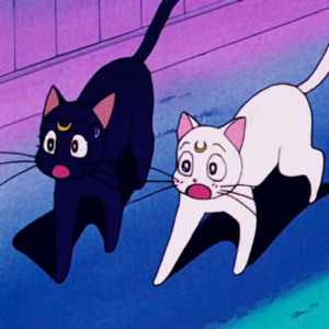 你的美黑是什么黑？肤色审美与文化挪用 | 美丽新世界 034