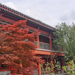 12|成为经济学大师,首先要成为他的弟子