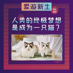 人类的终极梦想——成为一只猫？| Vol.014