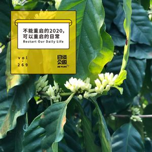vol.269 不能重启的2020，可以重启的日常