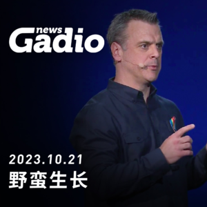 游戏新闻1021 野蛮生长的自建服务器