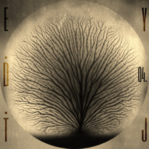 音景系列04：𝘈𝘚𝘔𝘙 ෴矗立的汗毛