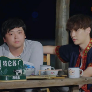 都别激动，就让华语戏剧、音乐随风发展吧