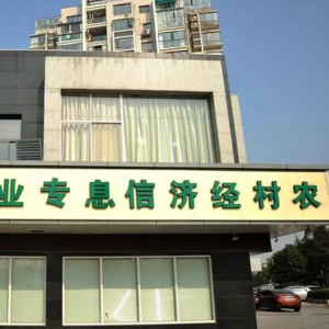 No.09 “银行”也能有假的？以假乱真吸收公众存款