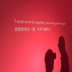 059. 婚姻的故事 爱情的箴言