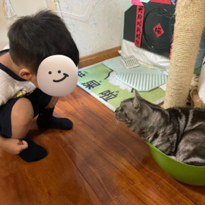 vol.04 | 我和小猫的带娃初体验