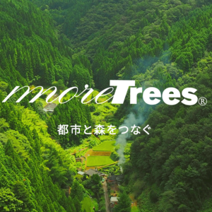 #350 在世界各地种树