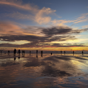 vol. 39 《繁花》: 可千万别看原著啊