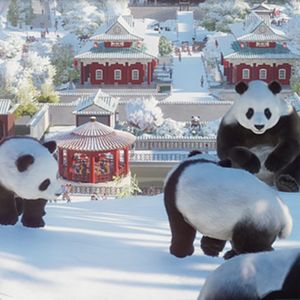 【从动物园到动物史】支配与喜爱|人与动物之间的迷人张力