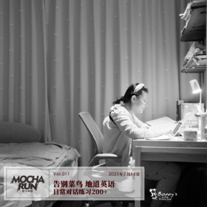 告别菜鸟！地道英语日常对话练习200+ (带中文音频)