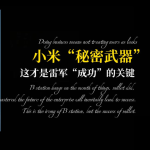 小米的“秘密武器”，雷军的“成功秘诀”！