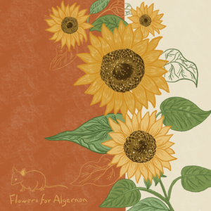 《献给阿尔吉侬的花束》:我想变聪明!