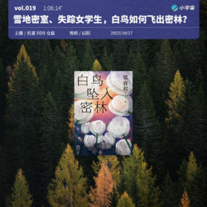 019. 《白鸟坠入密林》：雪地密室、失踪女学生，白鸟们如何飞出密林？