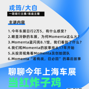 EP96:聊聊2025年上海车展当红炸子鸡—Momenta