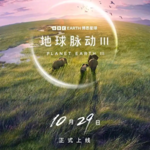 🎬快码住！五部留学生必看高分纪录片！