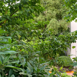 阿瑾的房间丨带着乡愁漂泊的人，还在寻找“好的东西”vol.18