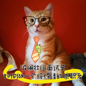 Vol.8【波澜壮阔面试史】如何做一个拎得清的求职者