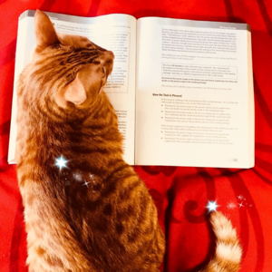 雅思口语Part 1高分语料 | Birthdays 庆祝生日