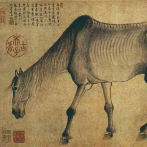 vol.57 | “疯马秀”是男凝还是自由——聊聊明星的自由、权利与桎梏