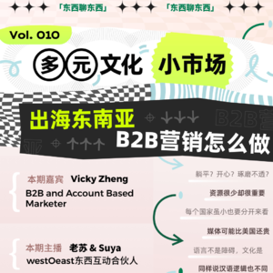多元文化小市场，出海东南亚B2B营销怎么做