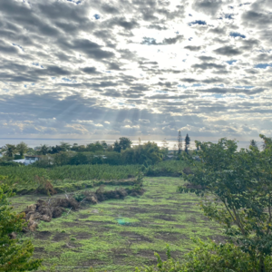 别陷入万一的局面里