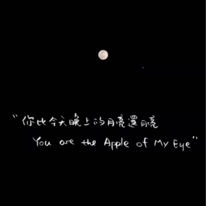 Vol.7 高薪?全班出国?词汇量破万?丨在翻译专业就读是怎样一种体验