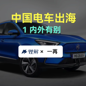 中国电车出海1 内外有别