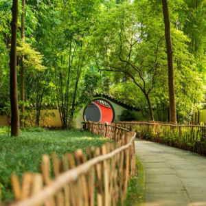 第11集:成都生活方式