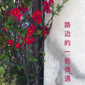 NO.2｜所谓世俗定义的幸福感