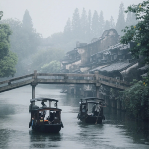 人间的盛夏，书业的寒冬