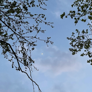 EP10 | 17岁没想过的事：上课写写卷子，下课搞搞暧昧