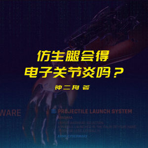 夜城迷梦有声书：《仿生腿会得电子关节炎吗？》