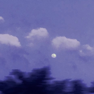 Vol 1.5 肆两咸的朋友们之方言读诗会1——秋与月