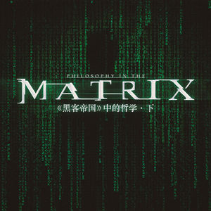 试论鲁智深与尼奥的深层精神联系 | 《黑客帝国》哲学元素缝合式乱谈
