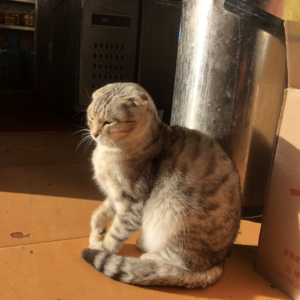 闲聊几句关于2022年终总结