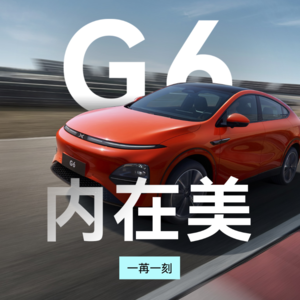 3顾小鹏G6，4好2坏1建议