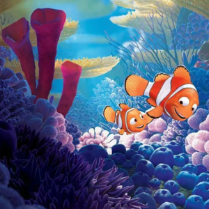 2023年9-12月题目示范｜Part 1 Fish