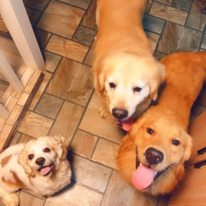 S2E5 老大老二在两个月里接连离去，她将它们的记忆封存了