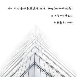 #50 面对全球数据监管挑战，DeepSeek如何破局？